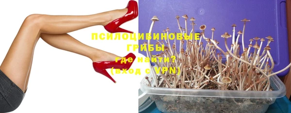 амф Остров