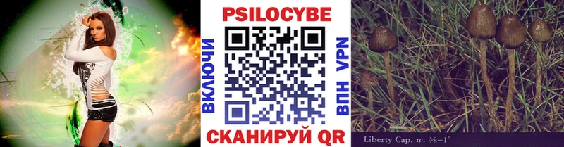 Псилоцибиновые грибы Magic Shrooms  мориарти наркотические препараты  Балей 